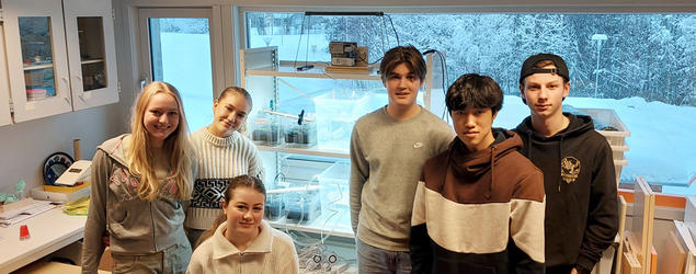 Bilde av elever fra Nannestad vgs. og deres forskningsprosjekt. Foto.
