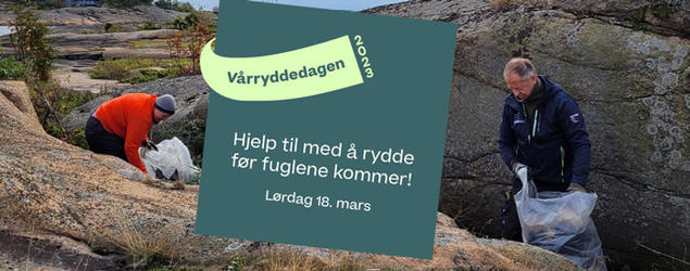 Mennesker som rydder og en tekst hvor det står "Vårryddedagen 2023. Hjelp til med å rydde før fuglene kommer! Lørdag 18.mars". Foto.